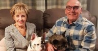 Gogglebox's Dave and Shirley 'very proud' as they share huge family news