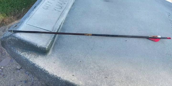 Cat killed with hunting arrow raises alarm about Yuma cat colonies