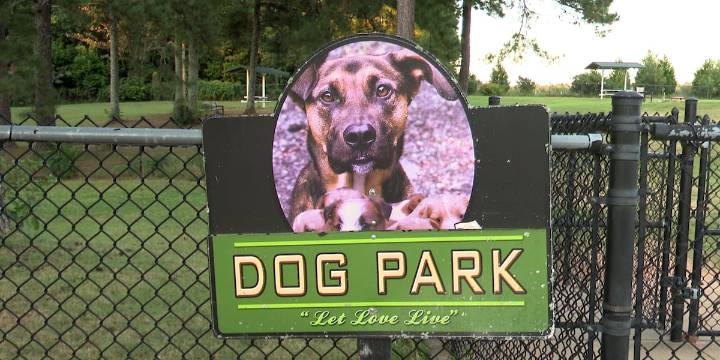 SPCA Albrecht Center host Yappy Hour to find ‘furever’ home
