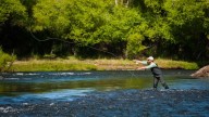 36ª Fiesta Nacional de la Trucha: pesca, tradición y espectáculos en Junín de los Andes