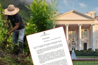 Embajada en Washington: alcaldes buscan politizar la certificación a Colombia