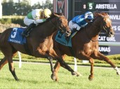 Tom’s Magic wins Breeders' Stakes by a head