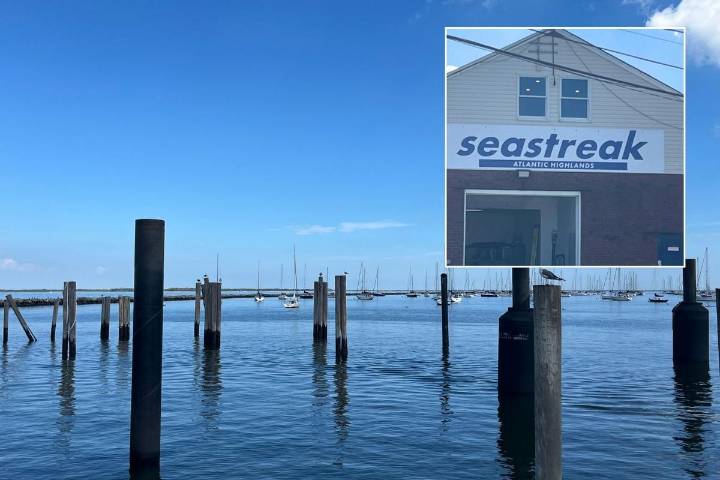 Police recover body after fall from ferry into harbor