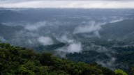 Cambio climático: alertan sobre posible efecto que genera preocupación sobre la salud de los ecosistemas, ¿de qué se trata?