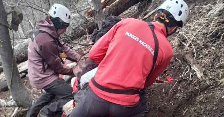 Rescataron a un hombre de 87 años tras sufrir un accidente con su caballo en la zona sur del parque Lanín