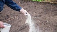 Should You Use Flour To Keep Garden Weeds Away? Here's What To Know