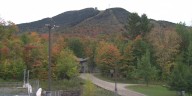 Ongoing drought results in muted foliage