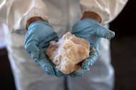Trump Hails Largest Ever Seizure Of Methamphetamine Precursors