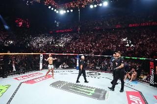 Caen los Fighting Nerds en UFC París