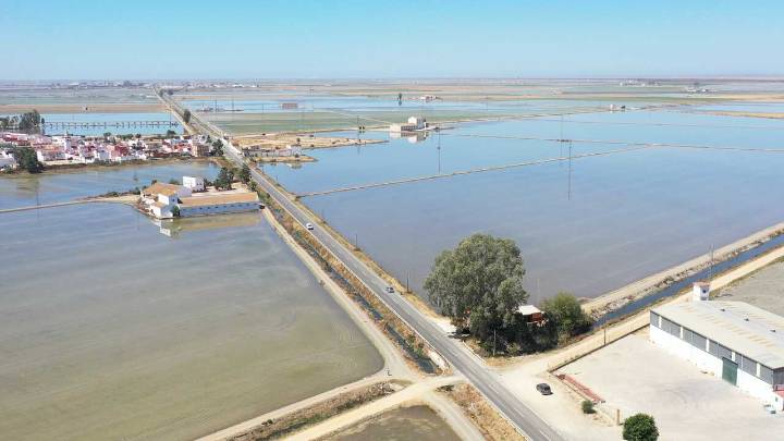 “El Último Oasis”, una mirada a la transformación de Doñana y al refugio del arrozal
