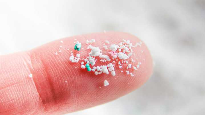 The Tiny Kitchen Essential That Is Hiding Microplastics In Your Home