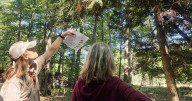 Learning to identify trees and more at Ludington State Park