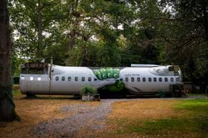 Quirky Airbnb plane split in two resides in woods