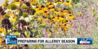 - Seasonal allergies