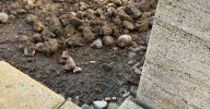 Una fuga de agua pone en jaque a una familia de Castellanos de Moriscos que tiene que pagar 9.326 euros en el recibo semestral