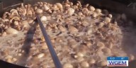 Fungus among us: Pro’s & con’s of drinking ‘shrooms’