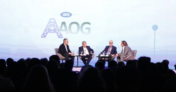 Los CEOs que expondrán en la Argentina Oil & Gas