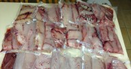 Ont. court fines U.S. anglers for improperly packaged fish