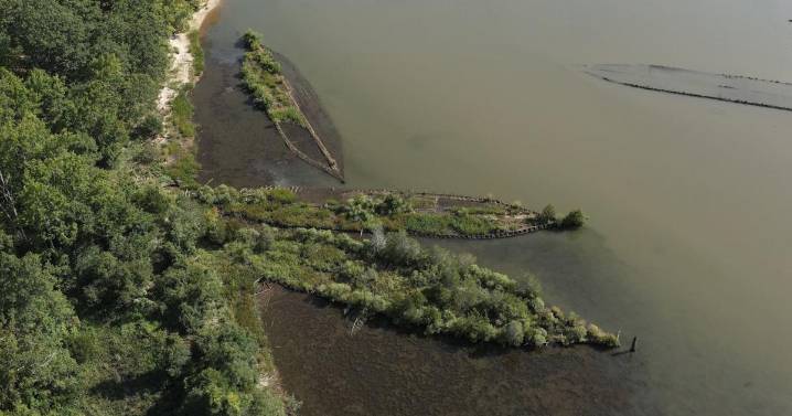 Scientists find marine life thriving on World War II explosives in the Baltic Sea