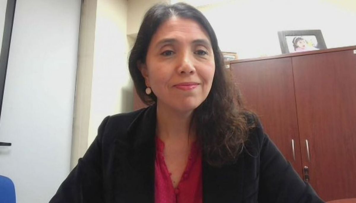 SII y personas detectadas con más de 50 transferencias al mes: “Los vamos a invitar a formalizarse y en adelante ejerceremos distintas acciones”