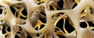 New Breakthrough to Strengthen Bones Could Reverse Osteoporosis
