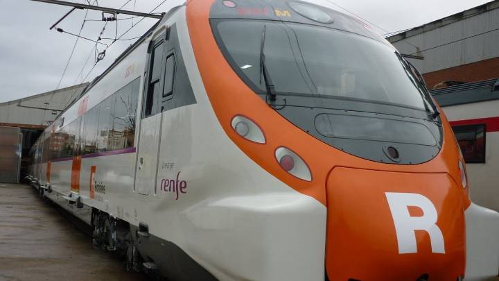 La caída de un árbol sobre la catenaria obliga a cortar las líneas R1, RG1 y R11 de Rodalies