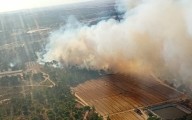 Extinguidos el incendio forestal de Calañas y uno de los tres declarados en Bonares