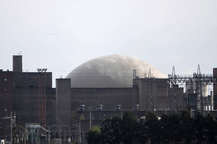 Privatización. Qué es la Nucleoeléctrica Argentina