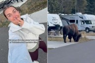Lindsay Arnold Comes Face-to-Face with Bison While Out Jogging