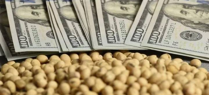 VOLVIERON LAS RETENCIONES. DE CUÁNTO ES LA ALÍCUOTA PARA GRANOS TRAS ALCANZAR EL CUPO QUE FIJÓ EL GOBIERNO