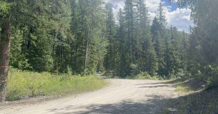 Preliminary report on August 12 fatal plane crash at Ryan Airfield released