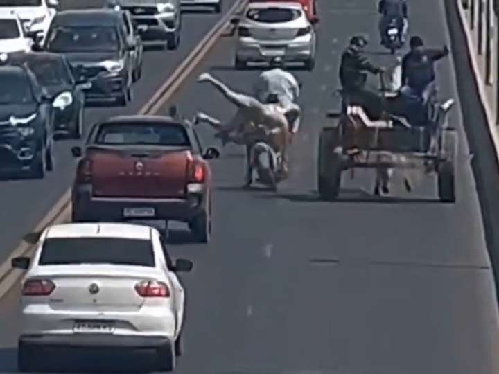 Milagroso choque en Tucumán: iban tres en una moto, chocaron un carro tirado por un caballo, cayeron abajo de un auto y se salvaron
