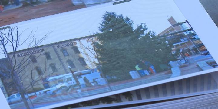Do you have the perfect tree for Lexington’s holiday season?