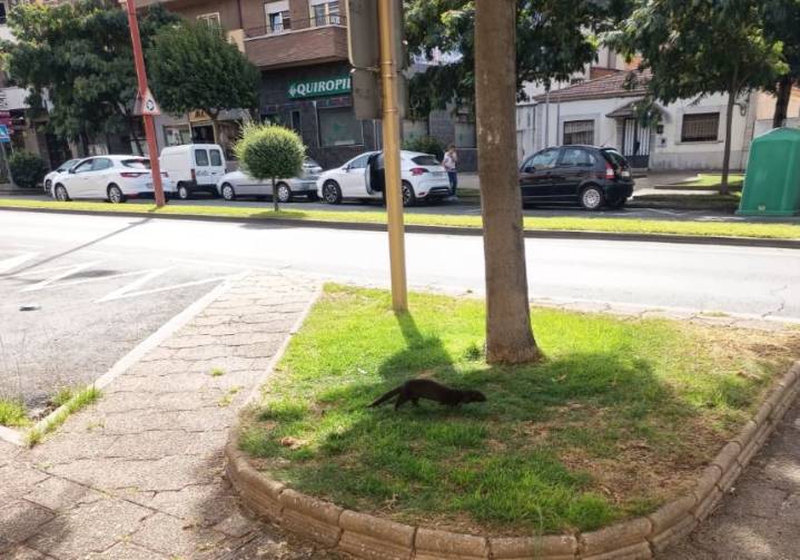 Fotonoticia | Santa Marta tiene un nuevo ‘vecino’