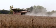 Iowa soybean harvest slightly behind average, corn ahead of schedule