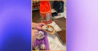 Mujer se hace viral por preparar una tostada de sushi
