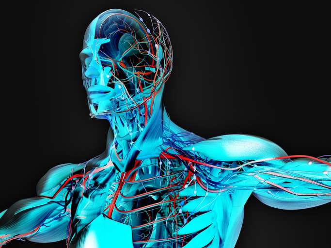 AI Model Predicts Risk for 1,000 Diseases Decades in Advance