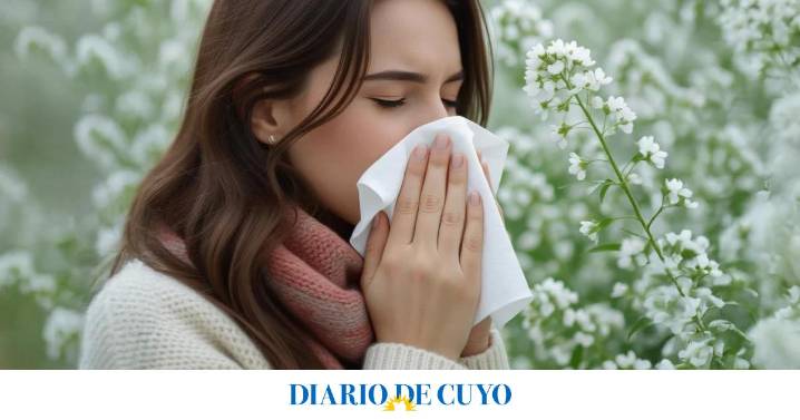 Cómo aliviar las alergias de primavera sin pastillas ni remedios: trucos que funcionan