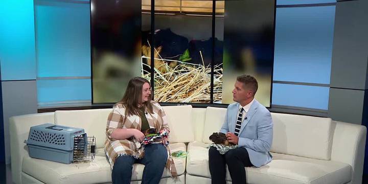 Pet of the Week: Meet Marshmallow & Brownie!