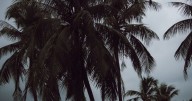 'Mario' se reintensifica a tormenta tropical; provocará fuertes lluvias en Baja California Sur