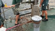 Pesca ilegal en Laredo y Santoña: descubren 51 nasas y una red de un kilómetro