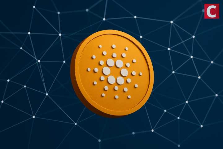 Cardano Tokenizes First Reinsurance Fund