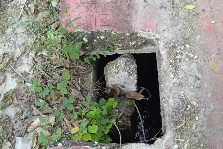 Cajas de registro sin tapa representan peligro en la colonia San Martín de Candelaria