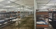 Corte suspende orden para desmantelar 'Alligator Alcatraz'