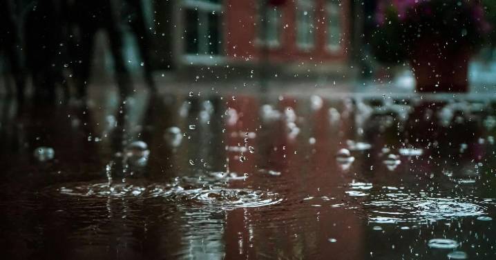 Wichita summer ranks among wettest on record