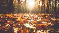 Is today the first day of fall?