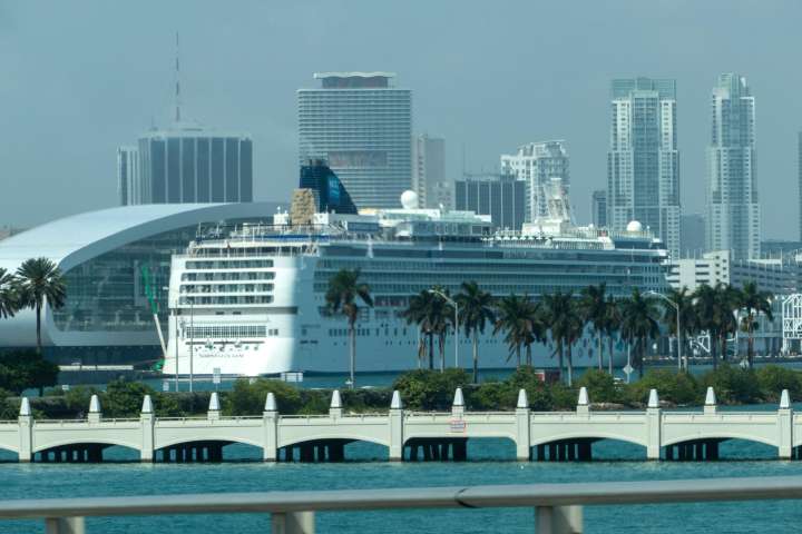 Más de 70 pasajeros de un crucero por EEUU enferman por brote de norovirus