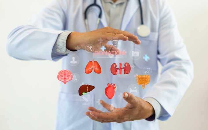 TransMedics: Upcoming Trials Are Critical (NASDAQ:TMDX)