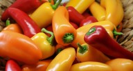 Midagri: con más de 200 mil toneladas de producción anual el Perú se consolida como tercer exportador mundial de ají l Midagri l Últimas