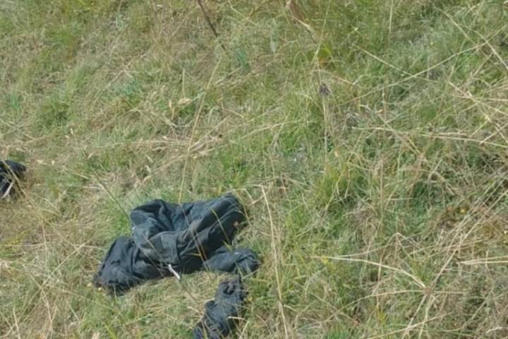 Restos humanos esparcidos en Tula: ¿qué datos hay sobre el hallazgo?